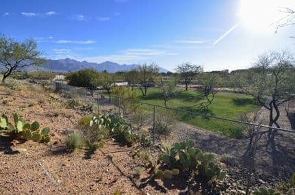 Saddlebrooke AZ Preserve Dog Park