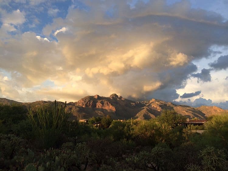 Catalina Foothills View of Mountains, Tucson AZ