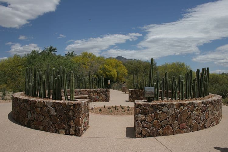 Tohono Chul Botanical Gardens Art Garden Circle, Tucson AZ