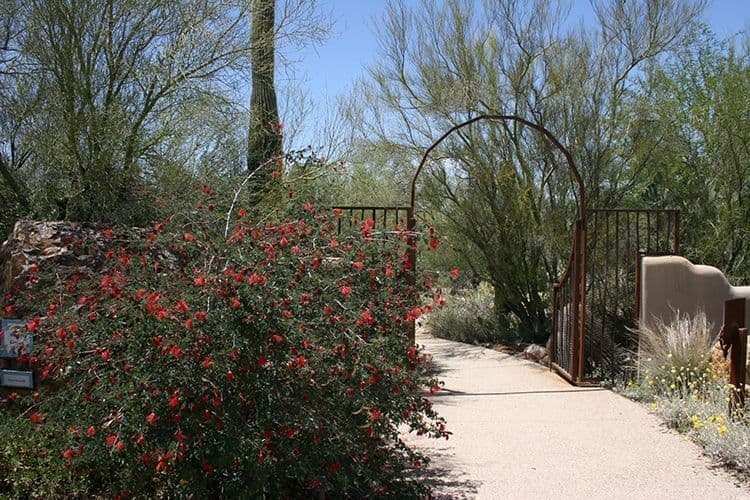 Tohono Chul Botanical Gardens Artistic Gate, Tucson AZ