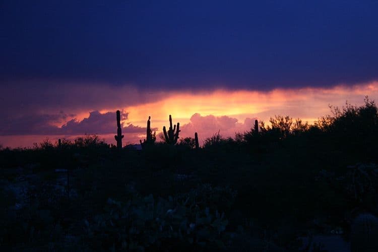 Tucson Sunsets #2, Tucson AZ